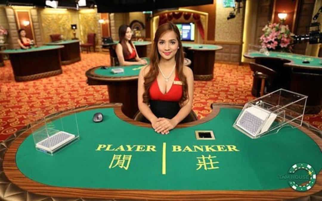 Dealer là gì trong casino Tất cả mọi thứ bạn cần biết về vai trò của dealer